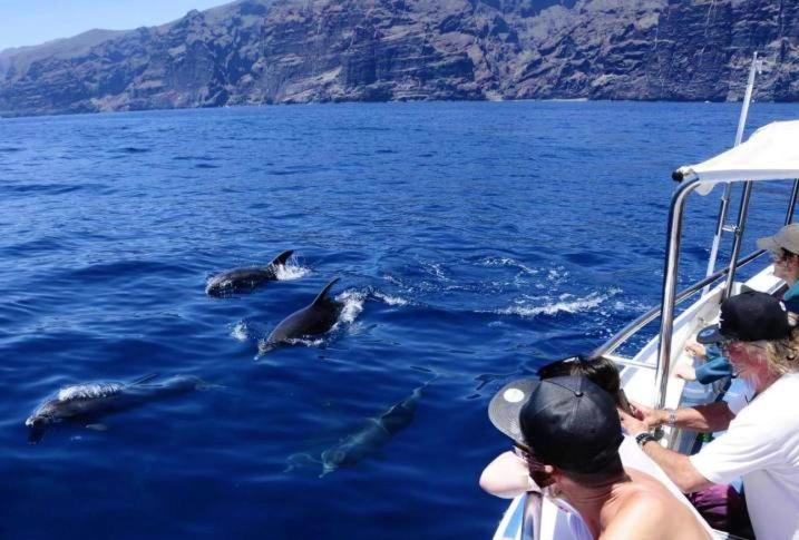 Apartamento Incleibles Vistas Al Oceano Y Piscina. Acantilado de los Gigantes Екстер'єр фото